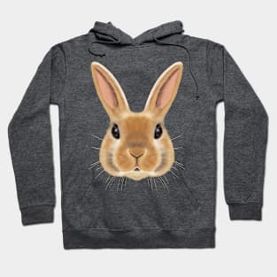 The Honey Bun Bunny Hoodie